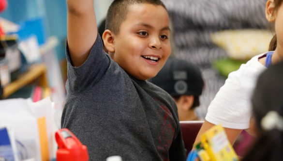 an elementary student raises his hand with excitement